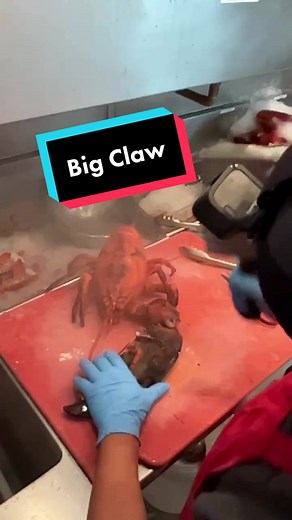 Lobster Preparation Tips from a Professional Chef