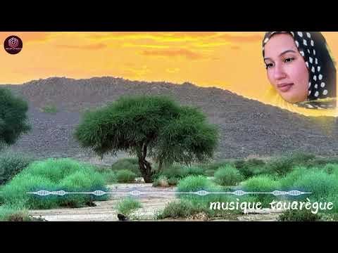 Blues touareg | Niger ( chouchou ta- nanag)