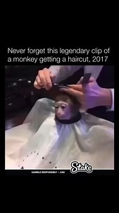 1.1M views · 19K reactions | I like your cut g | Historyinmemes | Facebook