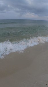 Feeding frenzy on the beach! #fishing #beach #saltwaterfishing | Bama Beach Bum