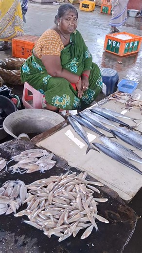 💥🐠 Anchovy fish good price | நெத்திலி மீன் #kasimedufishmarket #fish #shorts #trending #viral #1m