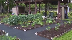 Sustainable Living Project helps cultivate greener community