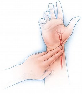 Rep One: How to Test Your True Fitness at Home (No Gym Required)