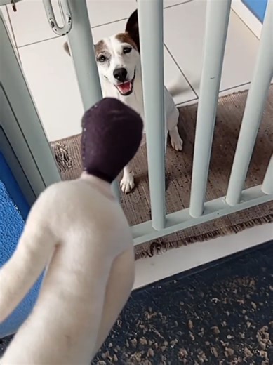 L nas compras:D#llawliet