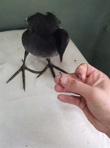 Videos de Laiky (@laiky.13) con “Pieces (Solo Piano Version) - Danilo Stankovic”