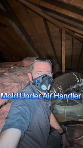 1.6K views · 179 reactions | When inspecting an Attic, finding hidden mold, can be like finding a needle in a haystack, but there are ways to narrow down higher probability areas, such as underneath your air handler #attic #airhandler #mold #insulation #leaks | HNST Environmental | Facebook