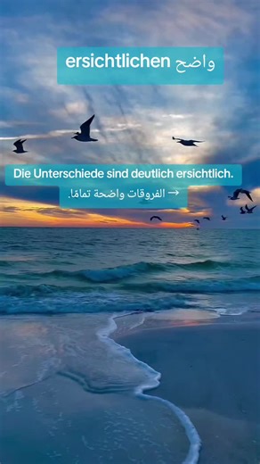 deutsch lernen 49 ✔️🪞 (@deutschlernen949549)’s videos with 1901 - Phoenix