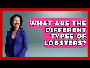 What Are The Different Types Of Lobsters? - The Marine Life Explorer