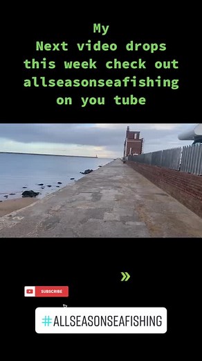 All season sea fishing on TikTok