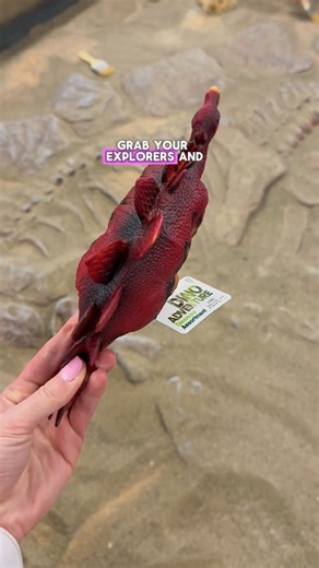 🦖 Dinosaur Adventure is coming to Knoxville, January 17-19 at the Chilhowee Park & Exposition Center! 🦕 🎟️ General admission includes unlimited access to: ✔️ Life-Size Dinosaurs that move & roar ✔️ Fossil Digs & Gemstone Mining (a kid favorite!) ✔️ Baby Dinosaur Encounters ✔️ Jurassic Scooters & Prehistoric Playground ✔️ Interactive exhibits full of dino facts Families say the hands-on activities make it worth every penny. To avoid long lines, plan ahead and explore all day! | Dinosaur Advent