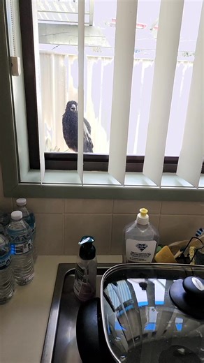 DJ DELITE (@djdelite2)’s videos with original sound - DJ DELITE