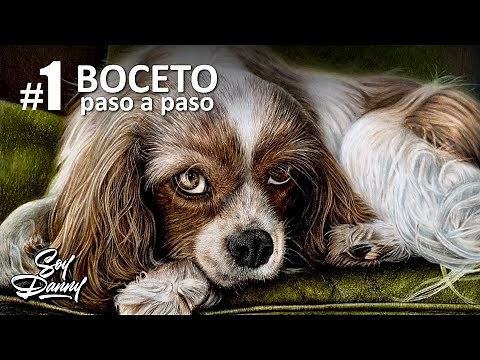 Cómo Dibujar un PERRO hiperrealista con lápices de COLORES | El Boceto | 1 de 5 | Soy Danny