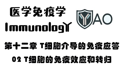 医学免疫学 第十二章_02 T细胞的免疫效应和转归
