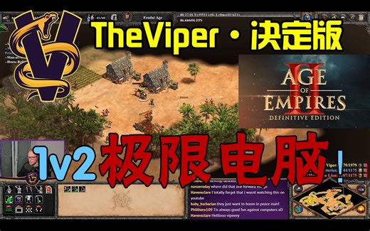 【TheViper】帝国时代2决定版：1v2极限电脑！