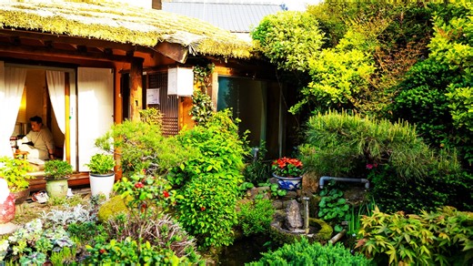 I found a side of Korea that’s not in the guidebooks