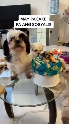 4TH IMPACT (@official4thimpact)’s videos with original sound - 4TH IMPACT