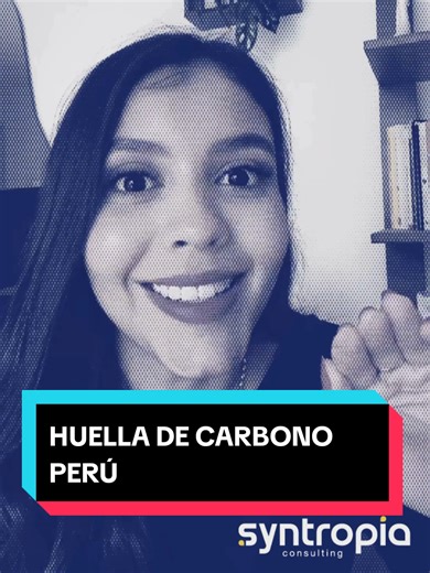 Huella de Carbono Perú: cómo funciona el programa