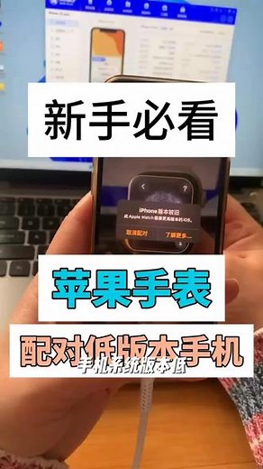 苹果手表怎么连接电脑爱思助手教程