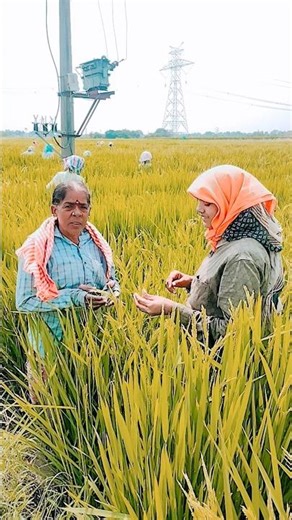 endhuke narata #subscribe