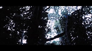 Predator Movie - Fight Scene