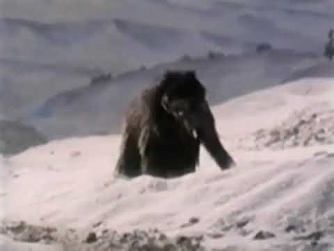 1979 - NFB Canada Vignette - Woolly Mammoth