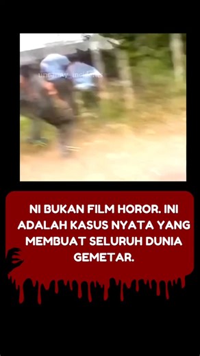 Silent Clues on Instagram: "Peter Scully adalah warga negara Australia yang ditangkap di Filipina atas kasus kejahatan seksual terhadap anak dan eksploitasi yang sangat berat. Ia membuat dan menyebarkan konten kekerasan terhadap anak di dark web, termasuk salah satu video yang kemudian dikenal luas dengan nama “Daisy’s Destruction.” Kasus tersebut memicu respons internasional dan menjadi salah satu penyelidikan kejahatan online terbesar pada masanya. Scully ditangkap pada tahun 2015 setelah inve