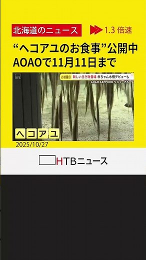 ヘコアユのえさやりや赤ちゃん展示・ニシキアナゴ新登場 AOAOSAPPORO一部リニューアル