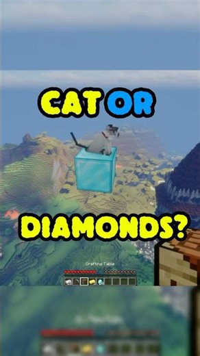 Cat or Diamonds? 💎🤯😭🤣