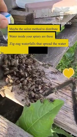 Maybe the safest method to distribute water inside your apiary are these zig zag waterfalls that..