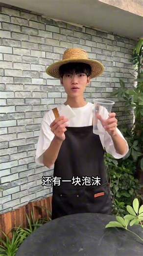 One Cut, Two Transformations: DIY Duckfoot Tree Craft