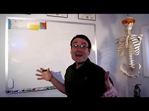 Evolution 1 (Genes, Traits, Populations)