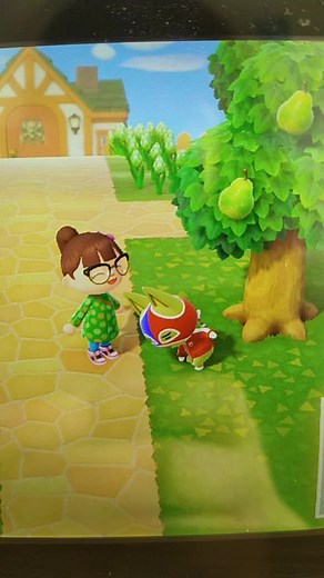 animal crossing ❤ #tiktokconfinement #animalcrossingnewhorizons #acnh #restezchezvous #dewey #malcolm #toituvistoitucreve #confinement