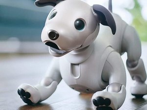 Sony's adorable Aibo robot dog looks better and does more tricks