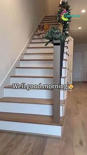 When your cat plays with a string for hours. | Creative Company