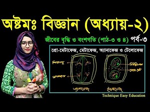 17. Class 8 Science Chapter 2 (Part-03) ll JSC Biggan Chapter 2 ll Eight Biggan 2 ll মাইটোসিস