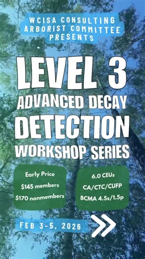 2026 Level 3 Decay
