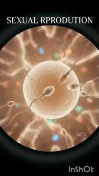 #Sexual aur asexual reproduction kya hota hai#Class 12th biology#details explaination