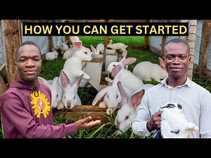 How To Start A Rabbit Farm | Everything About Rabbit Farming