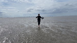 140K views · 8.5K reactions | Wadlopen!  TX10 - TX20 Het Wad op - Garnalen vissen en zeehonden kijken op Texel | Jochem Myjer | Facebook
