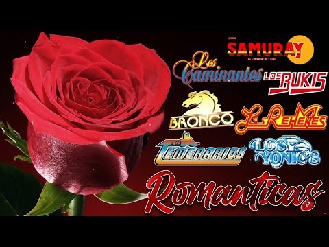 Gruperas 90s del Recuerdo - Bronco, Temerarios, Bukis, Acosta, Bryndis, Caminantes, Yonics y mas