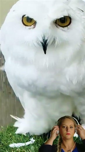 How can I not get it all out?