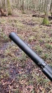 CGS Hydra AL Suppressor