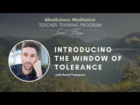 Introducing the Window of Tolerance – How to Teach Meditation With David Treleaven