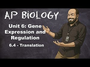 AP Bio Unit 6 – Topic 6.4 – Translation