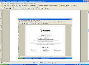Visual Basic World Records