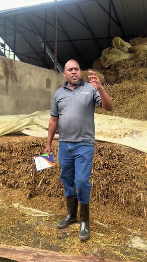 Silage Quality: Factors for Good Fermentation & Dry Matter