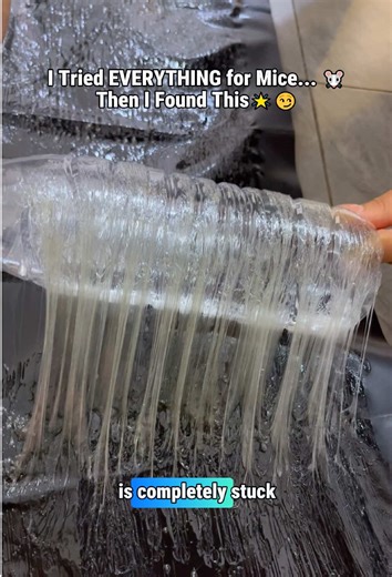 Ultra Sticky Mouse Trap Mat for a Pest-Free Home