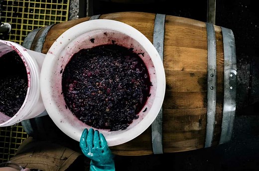 5 Ways to Stop Wine Fermentation