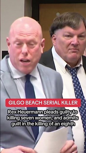 Gilgo Beach serial killer pleads guilty