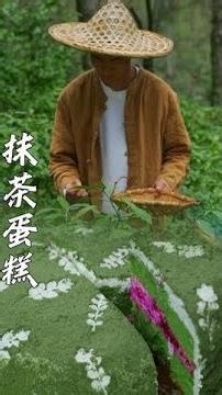 自己采的新茶，做成抹茶蛋糕和奶茶一口下去全是春天的味道，甜而不腻，茶香超浓～#抹茶 #抹茶蛋糕 #乡村美食 #新农人计划2026